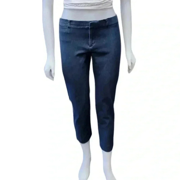 Banana Republic  Sloan Blue Ankle Textured Pants Size 10 - Picture 1 of 9